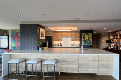 Kitchen - contemporary kitchen idea in Seattle