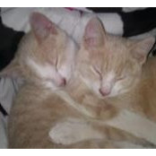 Robyn Short's photo
