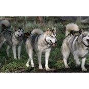 Rick Spangler's photo