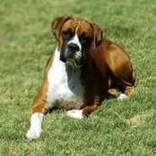 John Connor's photo