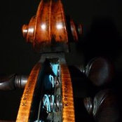 Laura Schall's photo