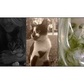 Foto von Funnygurl Berlinghoff