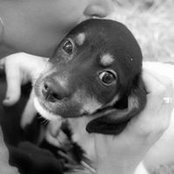 Misty Cobb's photo