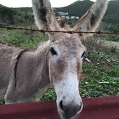 Nolan Glenn's photo