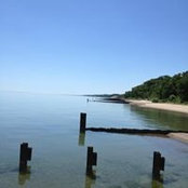 Emily Crane's photo