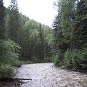 Amanda Utley's photo