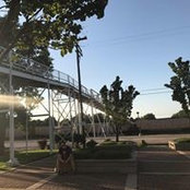 Chase Bailey's photo