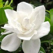 Ryoko Matsuo's photo