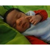Marion Cregut's photo