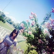 Rena Hong's photo