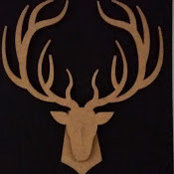 Scott Buck's photo