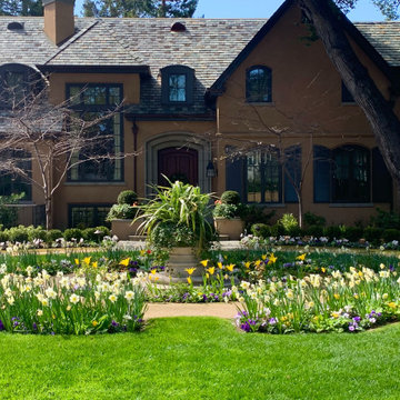 Spring Bulbs