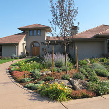 Drought tolerant gardens