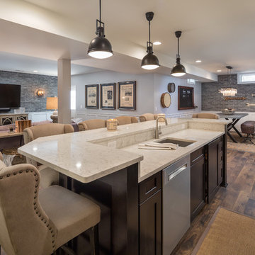 Neutral Rustic Transitional Basement