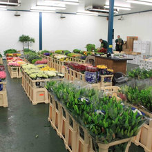 shop for sale fresh flower