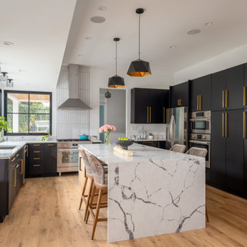 Chevy Chase, MD Modern