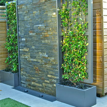 Backyard Landscape