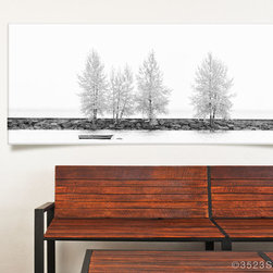 Tree Collection - Prints And Posters