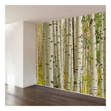 wall decal