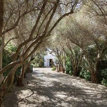 Redbank driveway