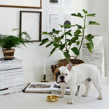 Styling - Alfhemsgatan 4