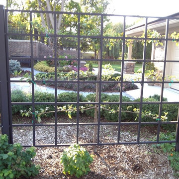 Espaliered Tree Trellis