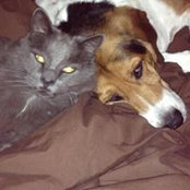 Melissa McGuirk's photo