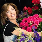 Debi Triola's photo