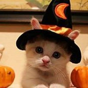 Deb Cionek's photo