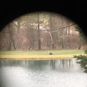 Kristen Dennison's photo