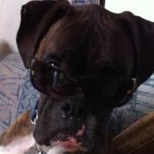 Rickmossnshar Olson's photo