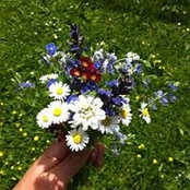 Foto von Marialen Bürger