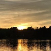 Tammy Bruce's photo