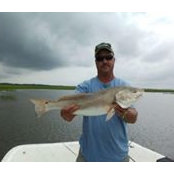 Brad Collins's photo