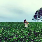 Leticia Barroso's photo