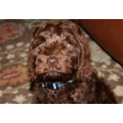 Paige Slezak's photo