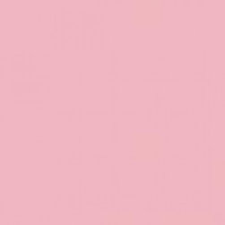 Benjamin Moore Pink Ruffle 2081-50 - Paint