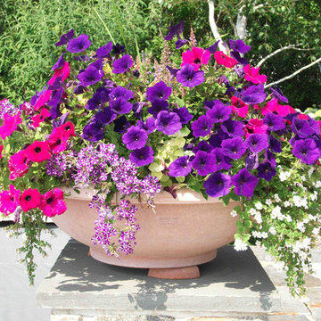 Container Gardens