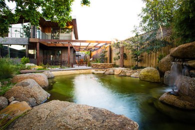Photo of a mid-sized backyard custom-shaped natural pool in Other with with a pool.