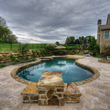 Free Form Pool with Spa
