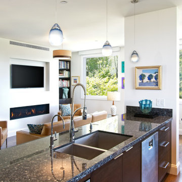 Contemporary Renovation