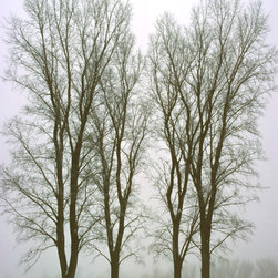 Foggy Winter Landscape 20 - Artwork