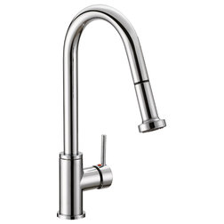 Contemporary Kitchen Faucets by Safavieh