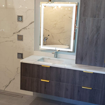 Contemporary Haven: A Master Bathroom Remodel