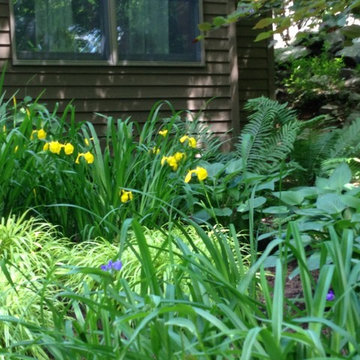 Various Plantings
