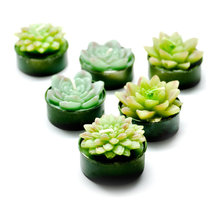 sandy_westphal's ideas