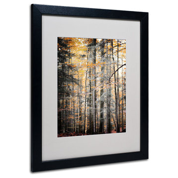 'Autumn Tones' Matted Framed Canvas Art by Philippe Sainte-Laudy