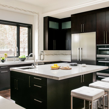 Silicon Valley Contemporary Kitchen