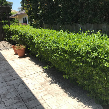 Landscape Maintenance