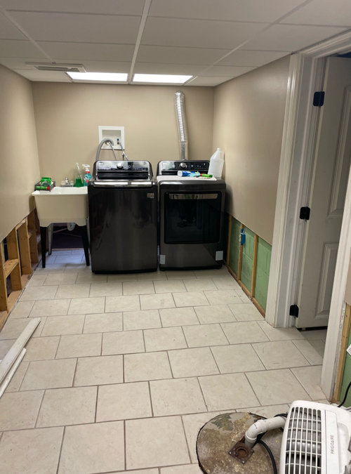 Basement paint advice